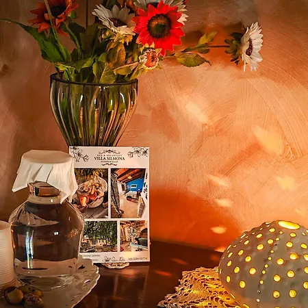 Silmona - Relax Nel Cuore Del Salento 3* Aradeo